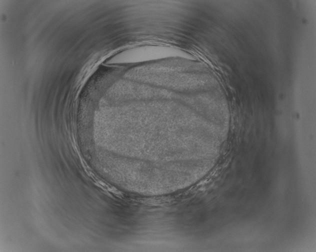 X0000067860241200605111741
