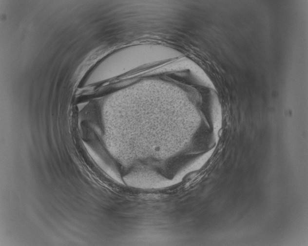 X0000067860242200605111741