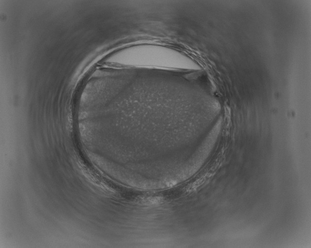 X0000067860247200605111741