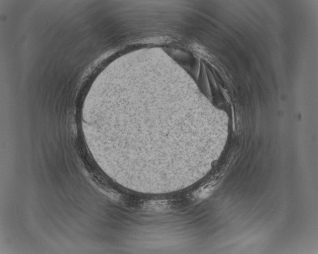 X0000067860252200605111741