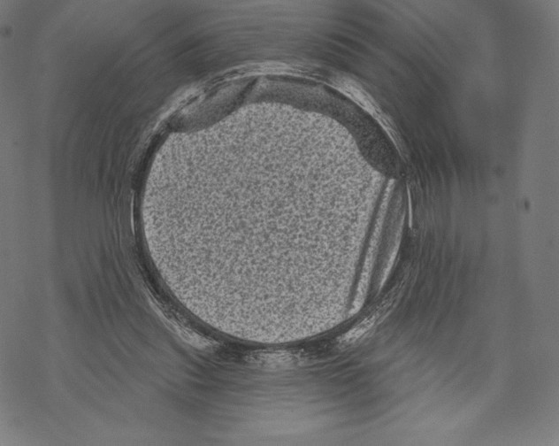 X0000067860253200605111741