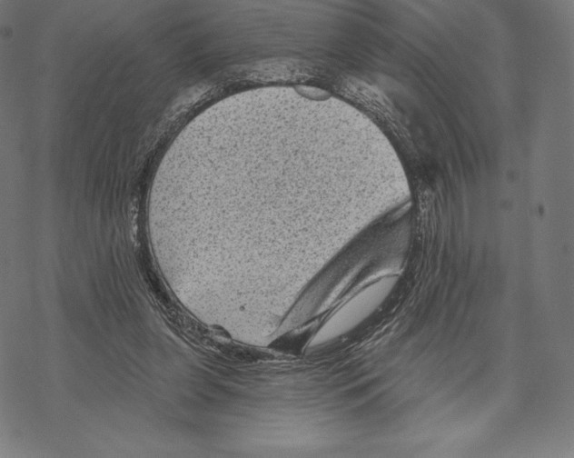 X0000067860255200605111741