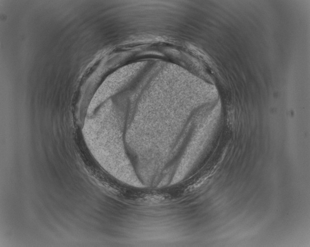 X0000067860256200605111741