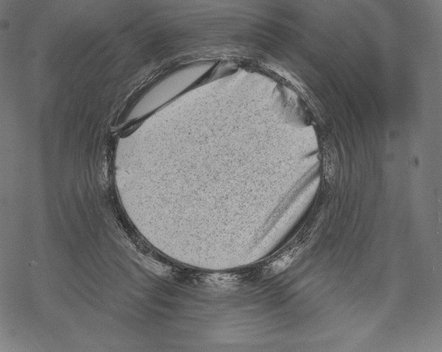 X0000067860261200605111741