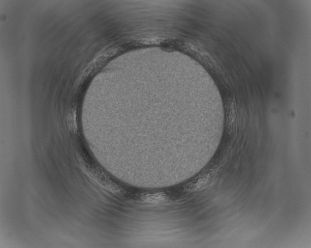 X0000067860262200605111741