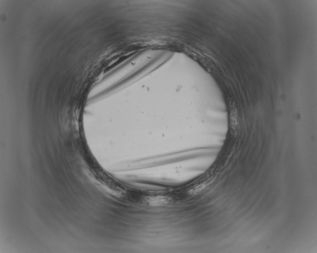 X0000067860264200605111741