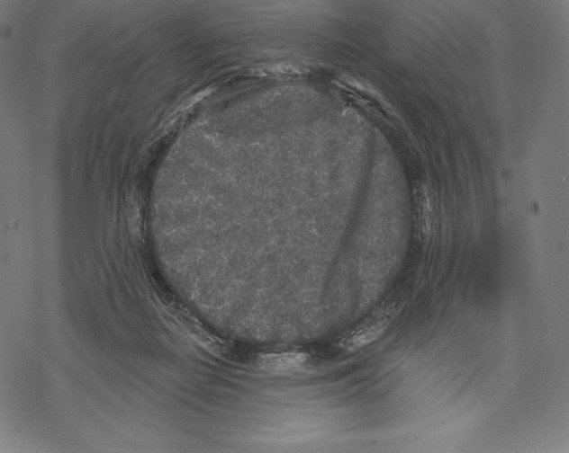 X0000067860266200605111741