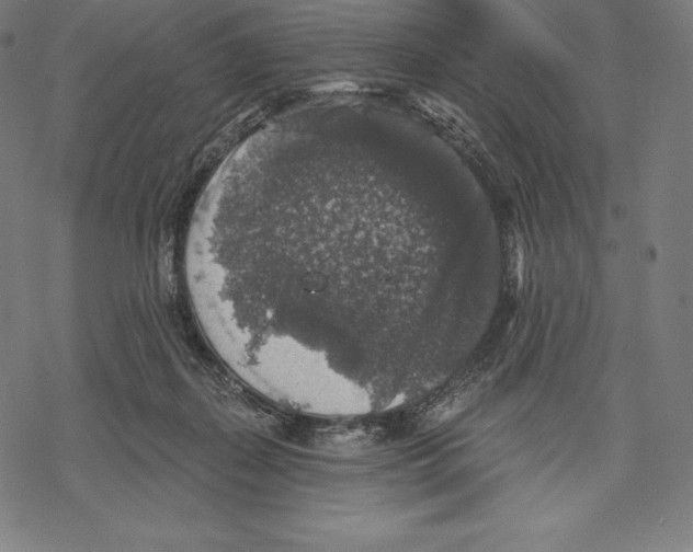 X0000067860267200605111741