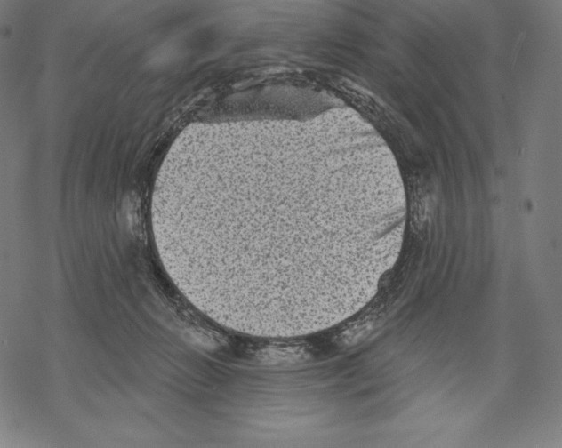 X0000067860270200605111741
