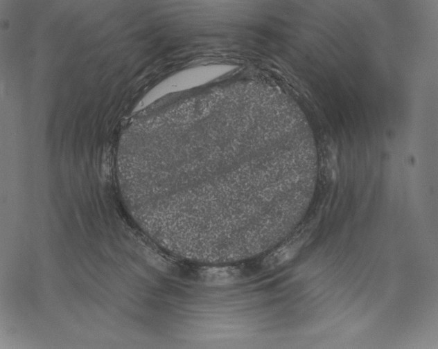 X0000067860277200605111741