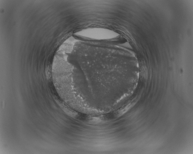X0000067860285200605111742