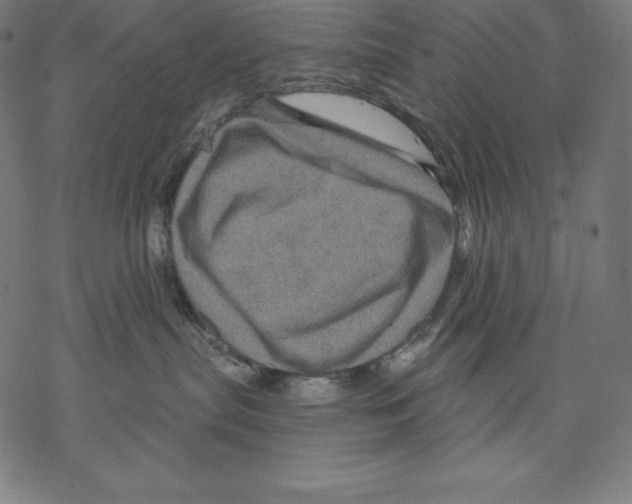 X0000067860287200605111742