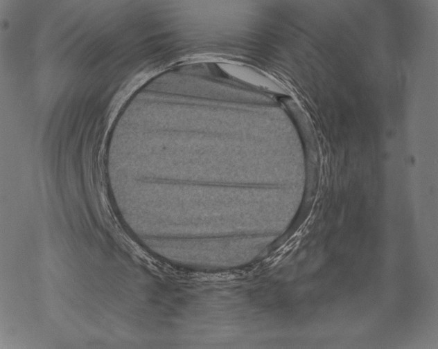 X0000067860289200605111741