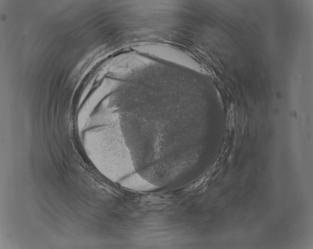 X0000067860290200605111741