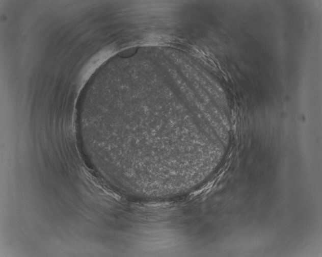 X0000067860292200605111741