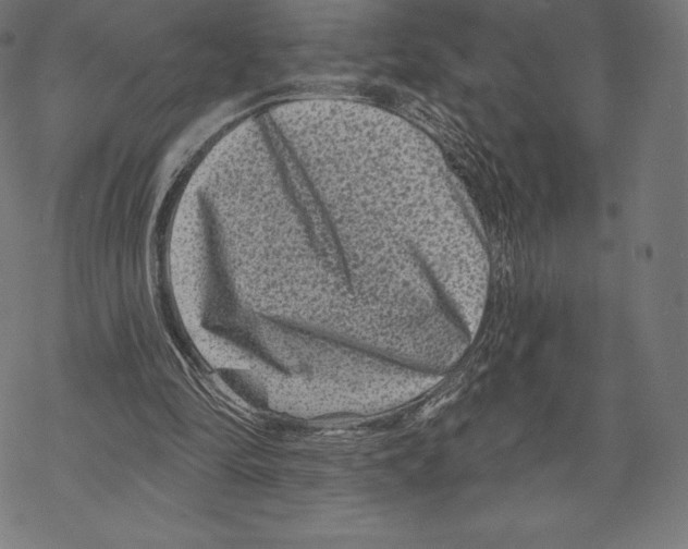 X0000067860294200605111741