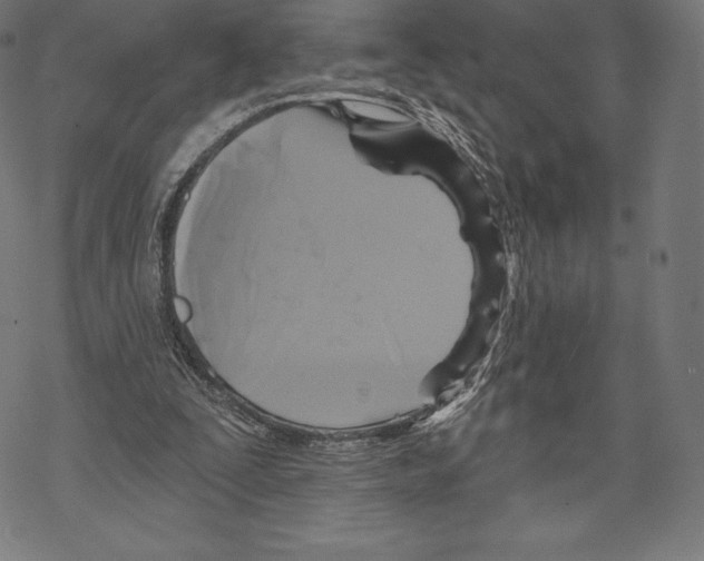 X0000067860295200605111741
