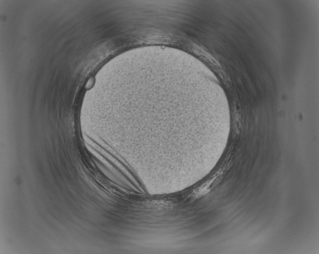 X0000067860298200605111741