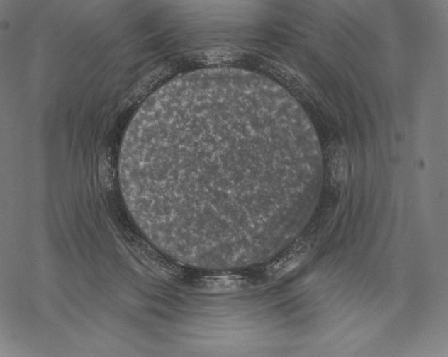 X0000067860316200605111740