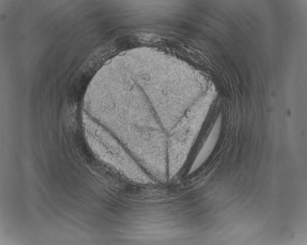 X0000067860319200605111740