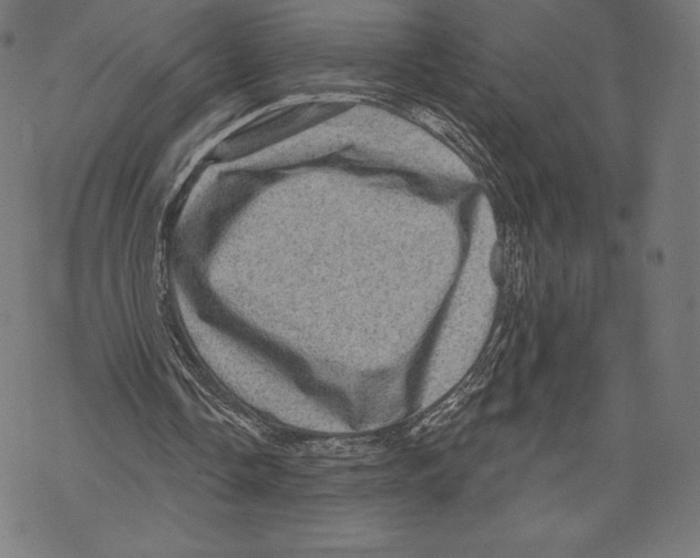 X0000067860338200605111739