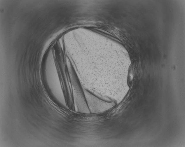 X0000067860342200605111739