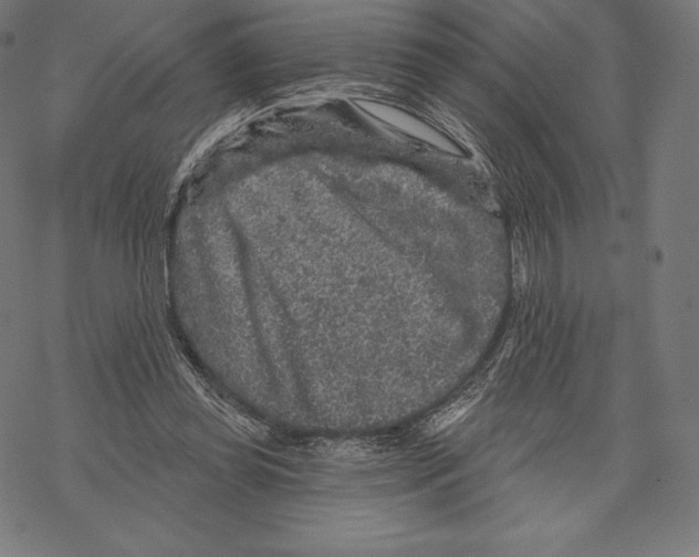 X0000067860349200605111739