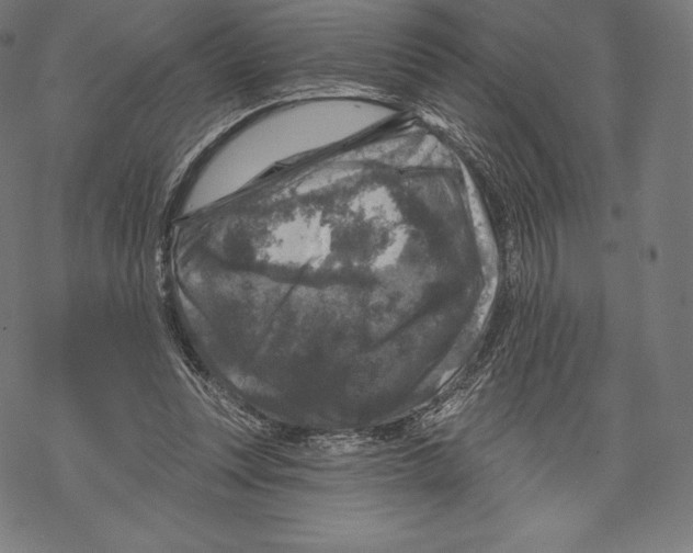 X0000067860351200605111739