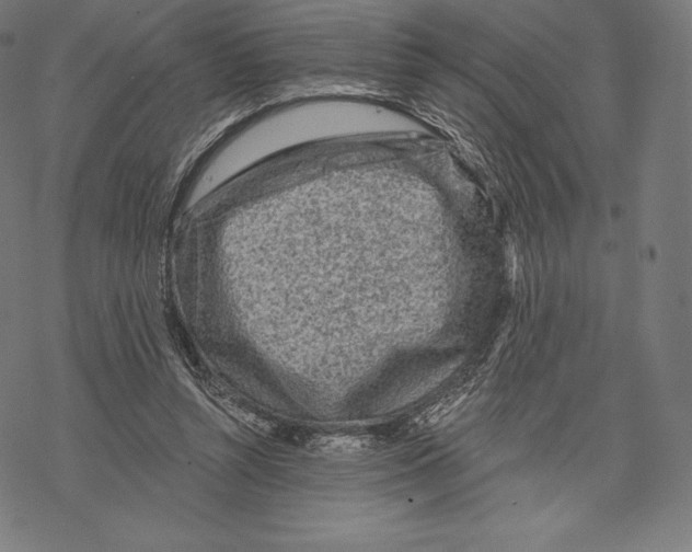 X0000067860352200605111739