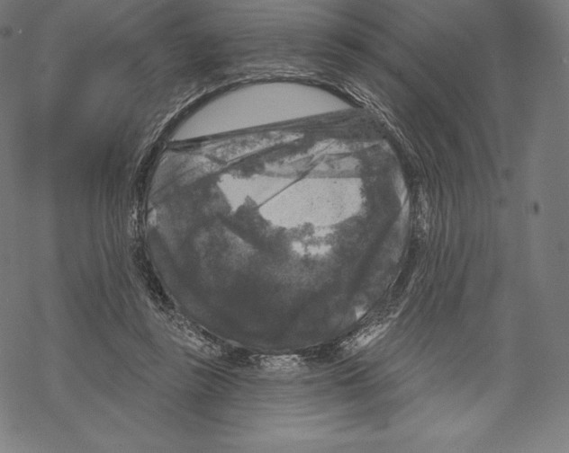 X0000067860355200605111739