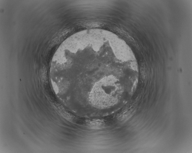 X0000067860359200605111740