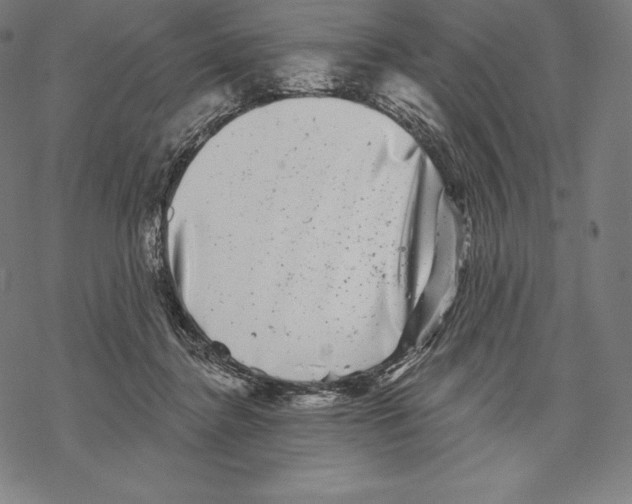 X0000067860364200605111740