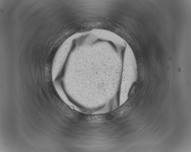 X0000067860378200605111740