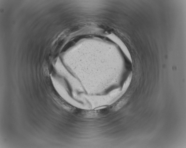 X0000067860384200605111740
