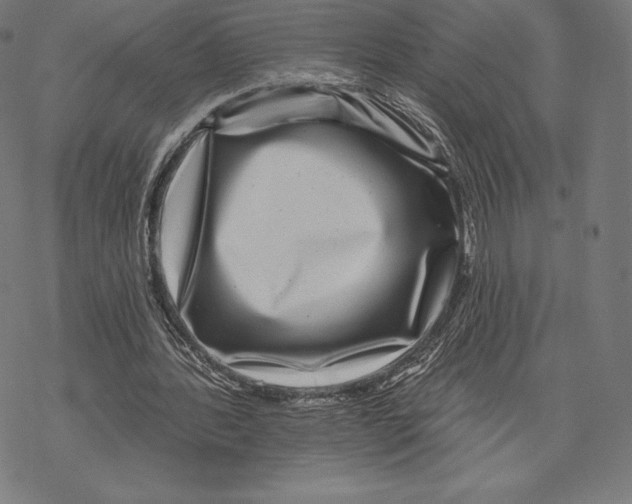X0000067860388200605111739