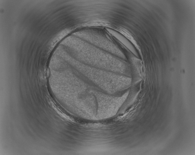X0000067860389200605111739