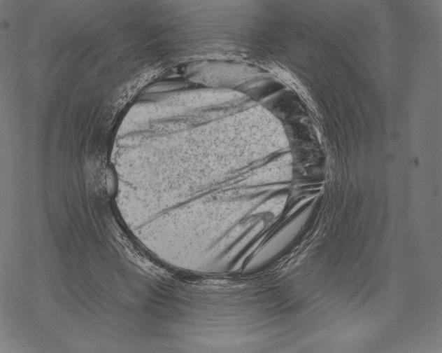 X0000067860393200605111739