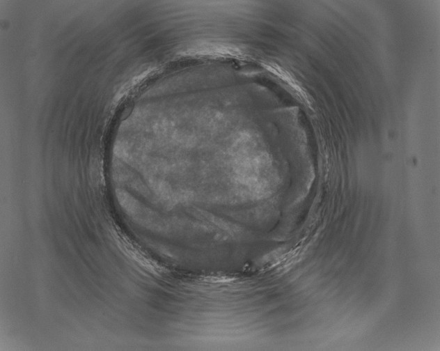 X0000067860399200605111739