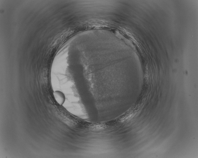 X0000067860402200605111739