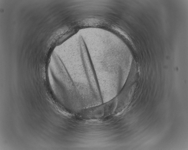 X0000067860403200605111739