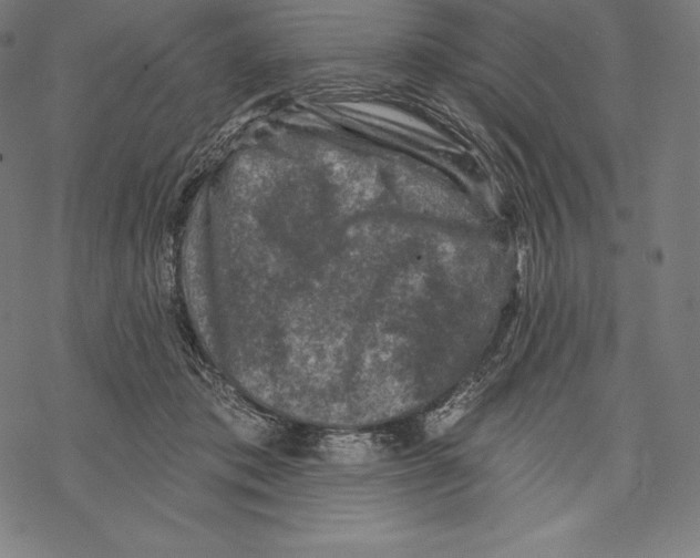 X0000067860413200605111739