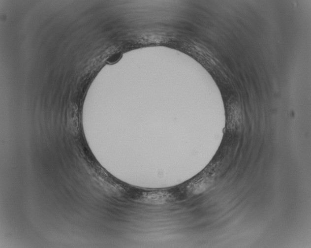 X0000067860414200605111739
