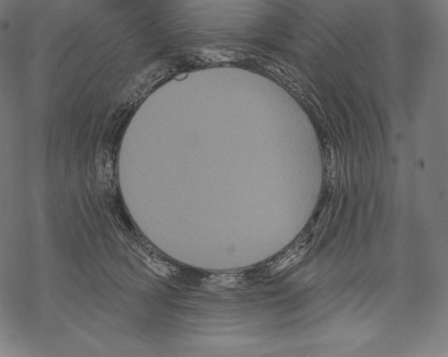 X0000067860418200605111739