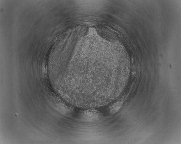 X0000067860420200605111739