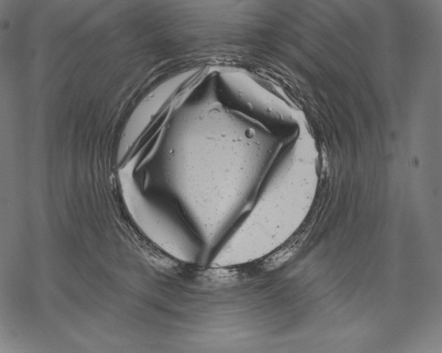 X0000067860421200605111739