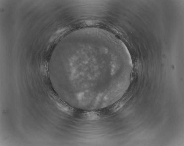 X0000067860423200605111739