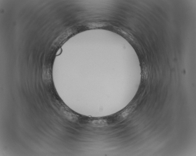 X0000067860426200605111738