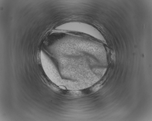X0000067860429200605111738