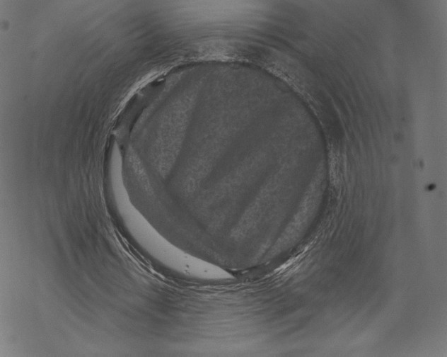 X0000067860434200605111738