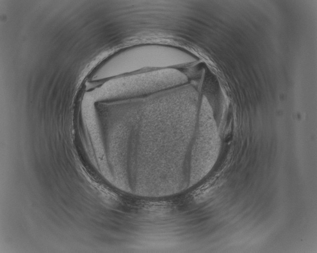 X0000067860438200605111738